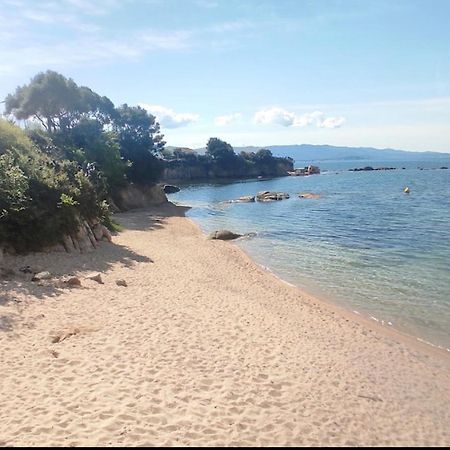 Magnifique T2 Ajaccio Leilighet Ajaccio  Eksteriør bilde